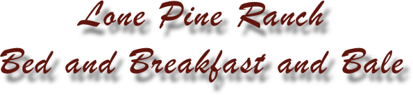 Lone Pine Ranch 
Bed and Breakfast and Bale